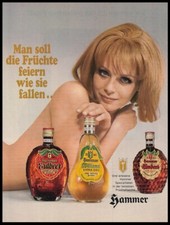 Brennerei Hammer - Reklame Werbeanzeige Original-Werbung 1969 (1)