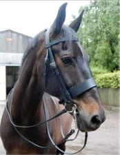 Adams Hunting Horse Bridle with Extra Wide 5 cm Noseband All Sizes Free Shipping