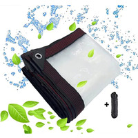Wasserdichte Transparente Plane Mit ÖSen 2X1M FüR GartenmöBel