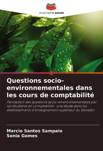 Questions Socio-Environnementales Dans Les Cours De Comptabilité Sampaio (U. A.)-image