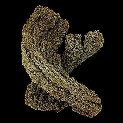Max Cooper - Emergence - New CD - 20 - O4z