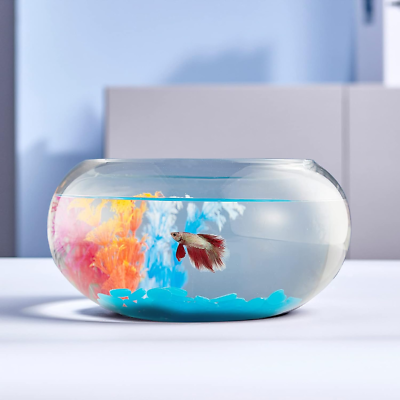 2 Gallon Glass Fish Bowl with Decor, Include Fluorescent Stones