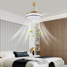 Timing 6 Wind Speed LED Ceiling Fan Light Remote Control Ceiling Mount Light