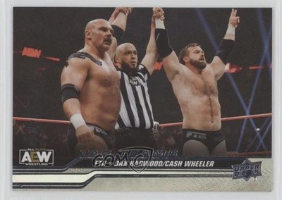 2024 AEW All Elite Wrestling Tag Teams Steel Cage FTR Dax Harwood Patch 1i7h