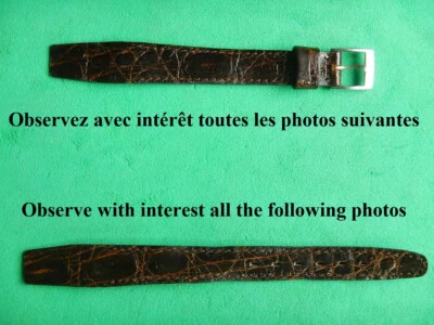 12 mm CROCODILE VÉRITABLE MARRON OUVERT ANSES FIXES SOUDÉES 10 mm COTÉ BOUCLE - Photo 1/4