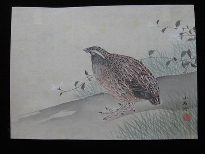 Kose Shoseki: Wachtel Gräser 1800/Quail Jap. Tuschezeichnung aquarelliert