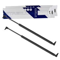2X Stabilus LIFT-O-MAT Gasfedern KOFFERRAUM-LIFTER DÄMpfer | 585314