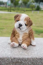 Realistic Sitting Sleepy Bulldog Puppy Statue Life Like Dog Resin Replica 6.9 in