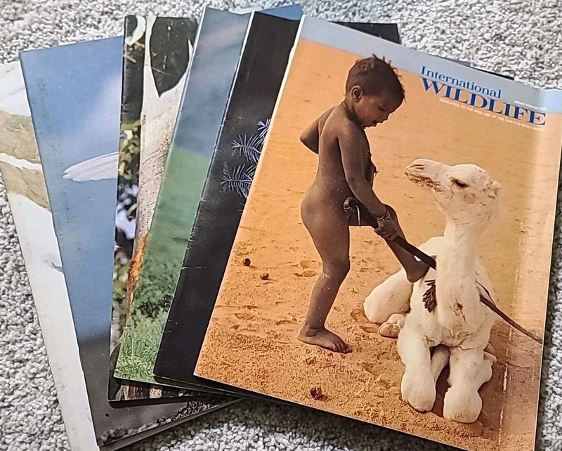 Complete 1976 year of International Wildlife Magazine.