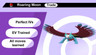 Shiny Roaring Moon Battle Ready 6 IV for Pokemon Scarlet/Violet