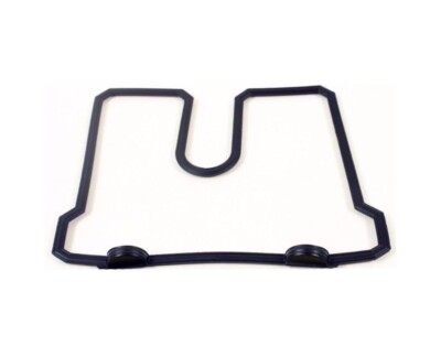 KAWASAKI OEM 11060-1318 Genuine KLX 250/R/S/SF 300R Head Cover