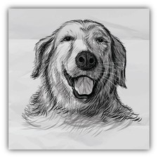 Golden Retriever Dog Head Sketch Car Bumper Sticker Decal 5'' x 5''