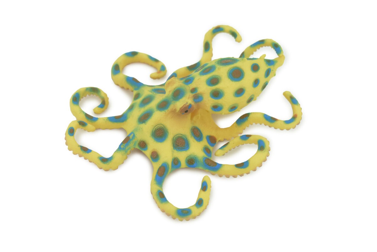 Blue-ringed Octopus Toy Hand Painted Hard Rubber Realistic Model