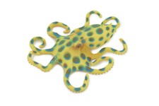 Blue-ringed Octopus Toy Hand Painted Hard Rubber Realistic Model 4.5" CH289BB179