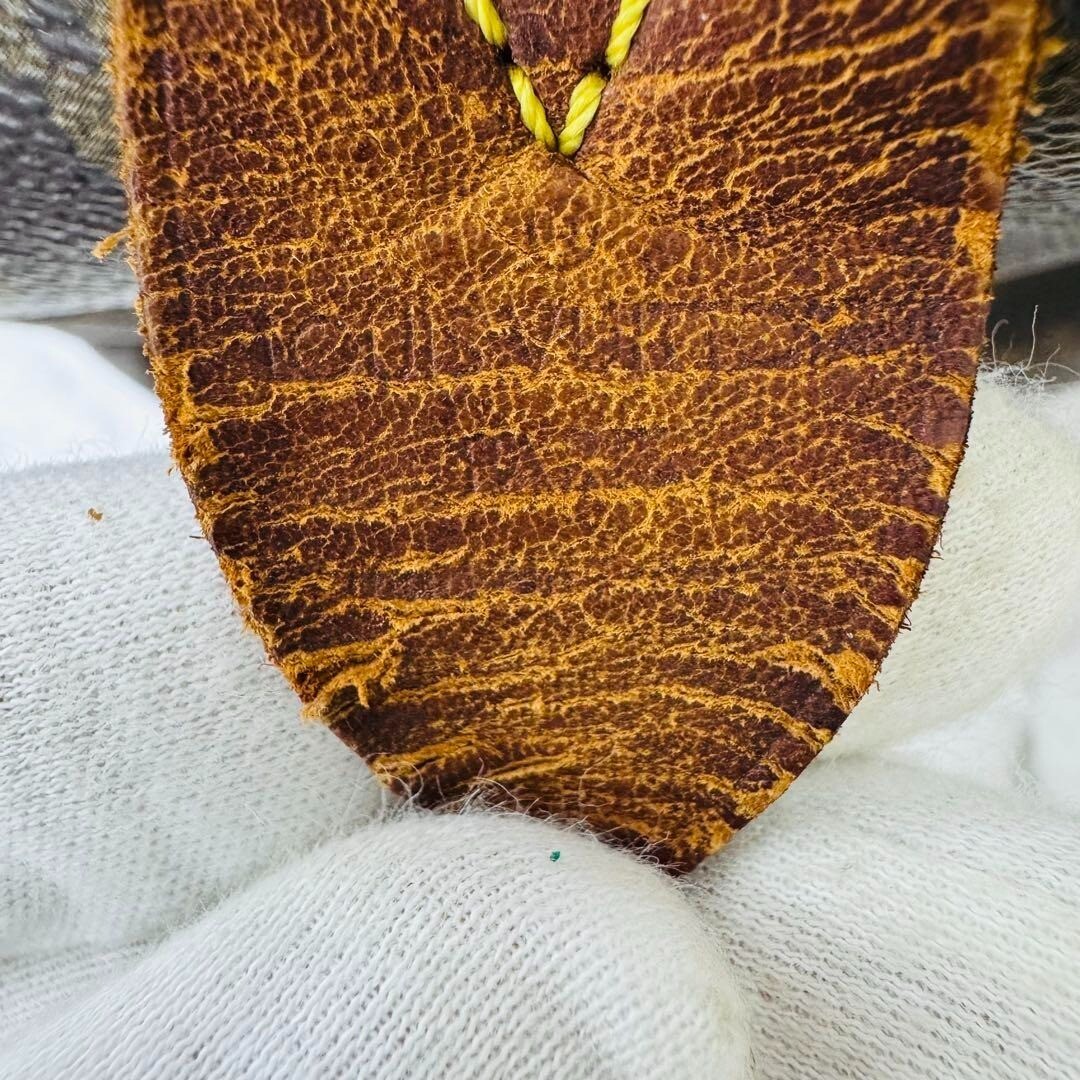 Picture 5 of 15