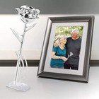 Bild 44 von 60