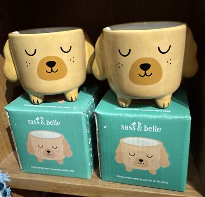 Zwei Sass & Belle Cockapoo Mini Pflanzgefäße Verkauf verpackt Hund Pflanzenliebhaber Geschenkidee