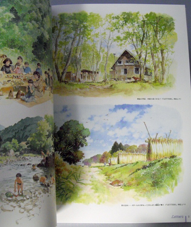 Picture 12 of 16