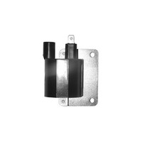 Spule At Im Freien Piaggio/Gilera Hexagon/Runner 125/150/180 2T