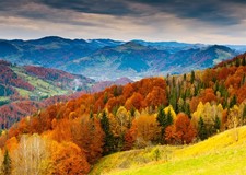 Autumn Scenery Backdrop 7x5 FT Fall Mountain Landscape Photography Background