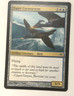 Esper Cormorants 105/147 Conflux MTG Magic the Gathering LIGHTLY PLAYED LP