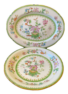 Antique ROYAL WORCESTER Meat Platter & Plate - Hand Painted Floral Design