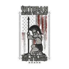 Veteran Soldier Never Go Away American Flag Bumper Sticker Military Decal 5"