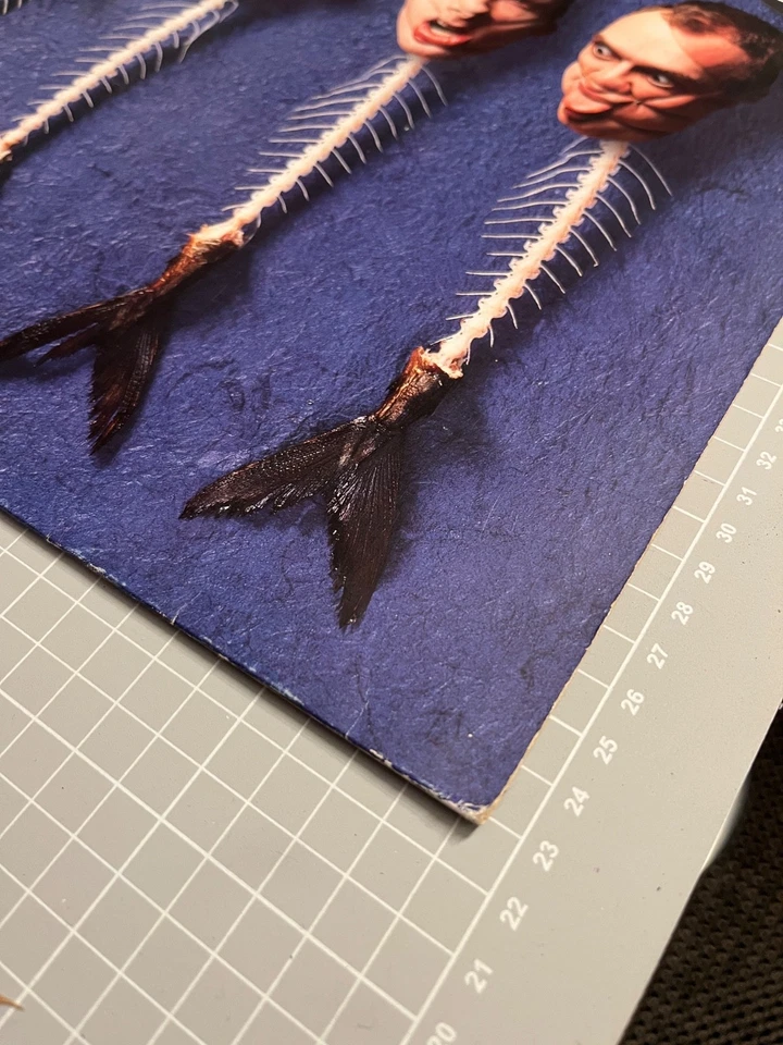 Fischmob – Männer können seine Gefühle nicht zeigen VINYL LP - Bild 2 von 4