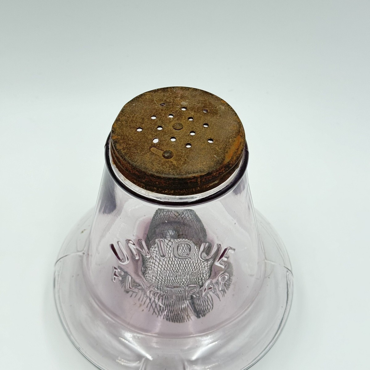 UNIQUE FLY TRAP Purple Glass Jar Bug Wasp Bee Fly insect