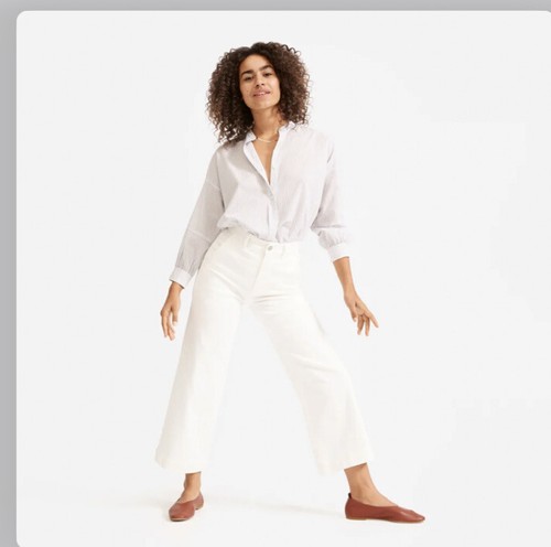 Everlane The Wide Leg Crop Pant sz 10