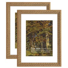 12x16 inches Antique Gold Ornate Picture Frame, With Mat for 9x12 inches phot...