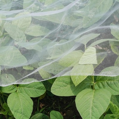 Red de jardín ultrafina, 1,2 m x 3 m, barrera contra plagas para plantas