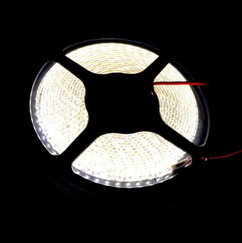 1M 2M 3M 600 LED Strip Lights Cool Warm Natural White 12V Waterproof Car Camping - Picture 2 of 7