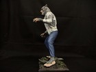 Picture 6 of 12