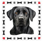 Black Lab Labrador Retriever Dog Sticker Decal A946
