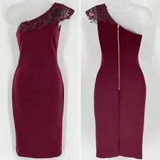 Ted Baker London Jalis Red Wine Lace Applique One Shoulder Dress 0 XS NWTAA2 -39
