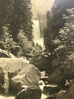 Picture 4 of 11