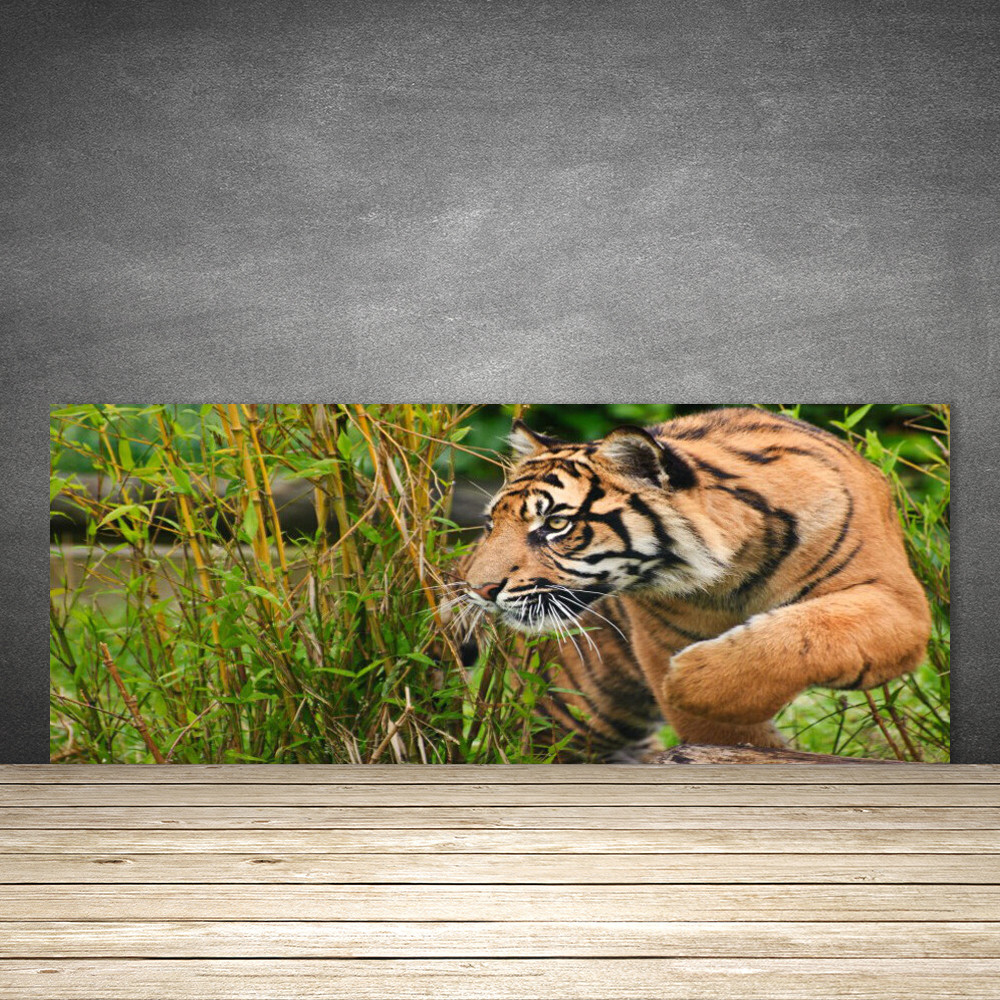 Crédence de cuisine en verre 125x50 cm motif Tigre sauvage pour protection murale