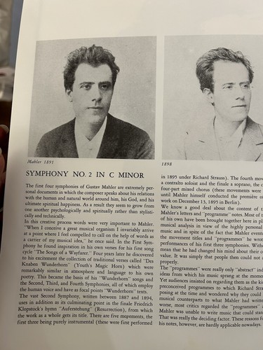 Gustav Mahler 1968 Concertgebouw Sinfonie NR2 Haitink 2LP Box Set 802 884/85 LY - Picture 6 of 14