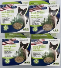4PK Organic Morgan Oats Vanness Fresh Greens Garden Kit SET ~ FAST SHIPPING ~NEW
