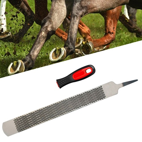 Hufraspel 350mm Hufraspel Karosseriefeile mit Angel Raspel, Huffeile NEW - Bild 23 von 24