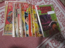 Charlton assorted comics select an issue   