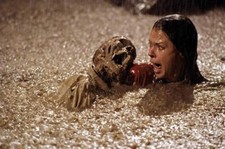 JoBeth Williams [Poltergeist] Unsigned 10x8 Photo 75138