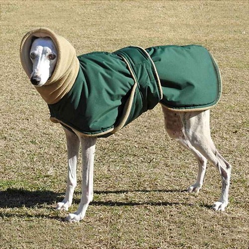 Chaqueta para perro mascota galgo ropa de invierno abrigo grueso grande agujero de plomo perro sudadera con capucha - Imagen 16 de 16