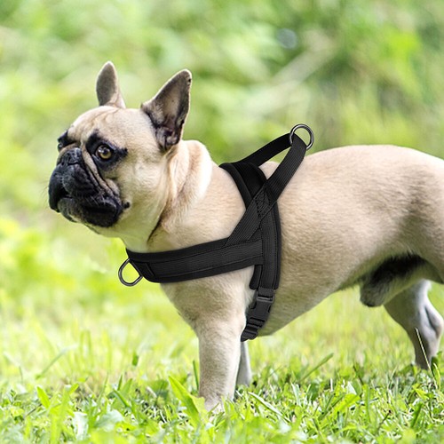 Arnés acolchado suave para mascotas perros chaleco ajustable sin tirar con asa guía delantera - Imagen 14 de 31