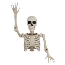 Way To Celebrate 46" Skeleton Groundbreaker Decoration - Ivory