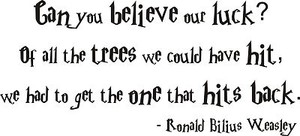 Harry Potter Ron Weasley Hp Police Citation Wall Art Vinyl Autocollant Accueil A Faire Soi Meme Chambre A Coucher Ebay Harry Potter Ron Weasley Hp Police Citation Wall Art Vinyl Autocollant Accueil A Faire Soi Meme Chambre A Coucher Ebay