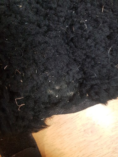 Le Mieux 17in black lambswool Seat Saddle Saver - Picture 3 of 4