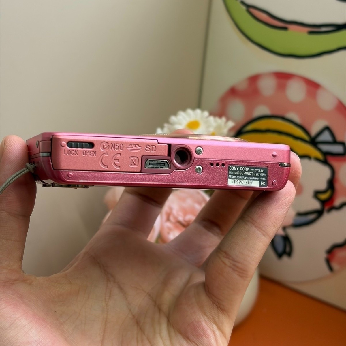 Sony Cyber-shot DSC-W570 Digital Camera 16.1MP 5x Optical Zoom
