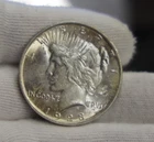 1923 US Peace Silver Dollar $1  Unc Toned